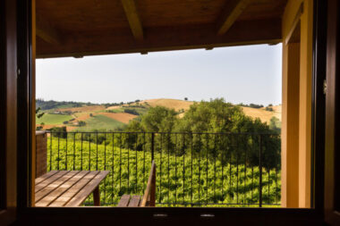 Appartamento agriturismo vacanza Marche Appartamento vacanza in agriturismo nelle Marche
